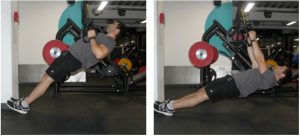 bodyweight-row-jl-fitness-solutions