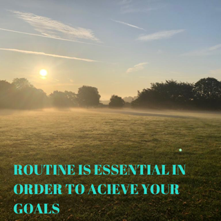 The importance of Routine in achieving your weight loss or muscle gain goals IMG 4329